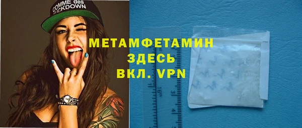 индика Дмитровск