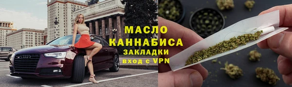 индика Дмитровск