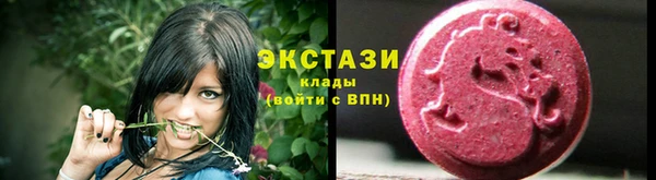 индика Дмитровск