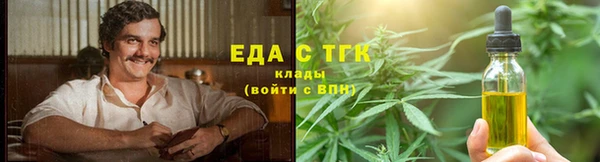 индика Дмитровск