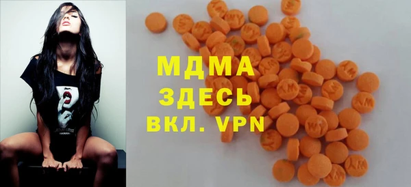 индика Дмитровск