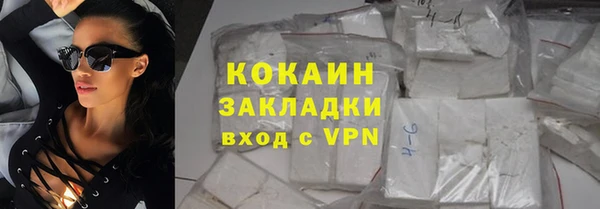 индика Дмитровск