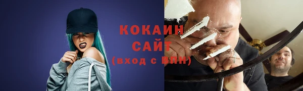 гидропоника Дмитриев
