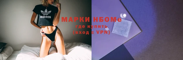 гидропоника Дмитриев