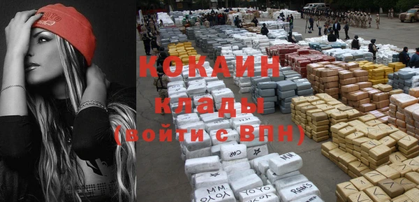 индика Дмитровск
