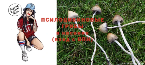 индика Дмитровск