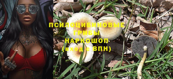 индика Дмитровск
