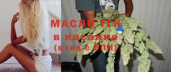 индика Дмитровск