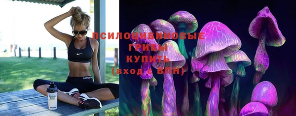 гидропоника Дмитриев