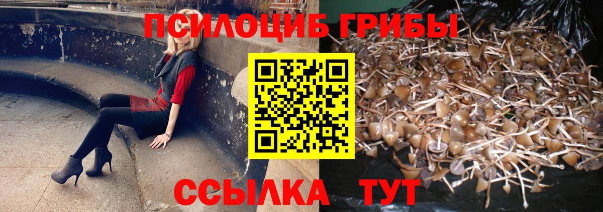 цена   Вход с VPN  Галлюциногенные грибы GOLDEN TEACHER  Истра  Галлюциногенные грибы мухоморы 